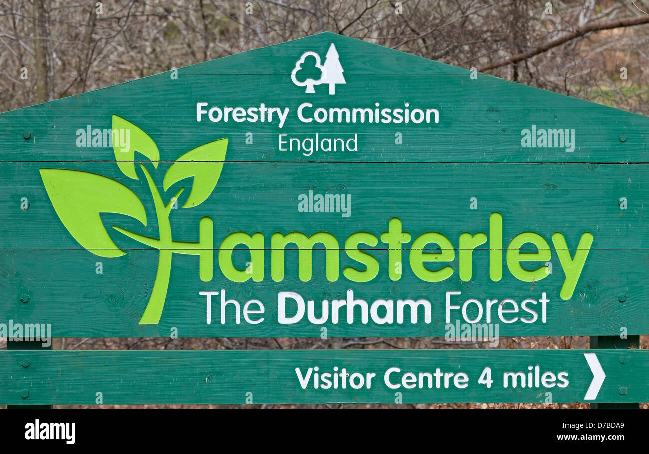 Hamsterley Forest Sign Teesdale County Durham UK Stock Photo