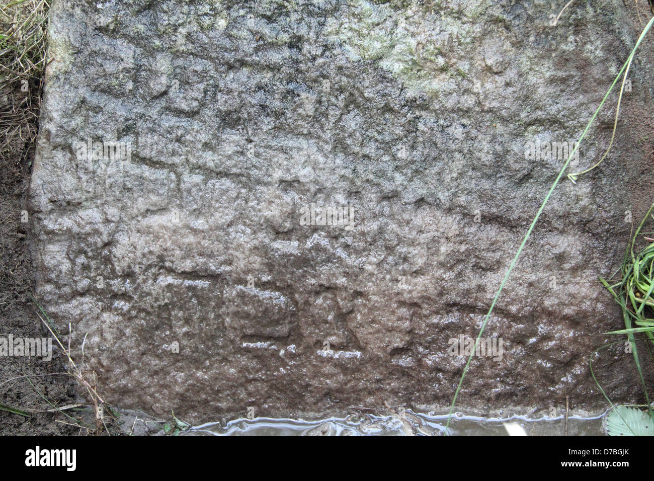 Uncovered Buried Tombstone By Visiting Israelis At The Jewish Cemetery Of Wojslawice In Poland Stock Photo