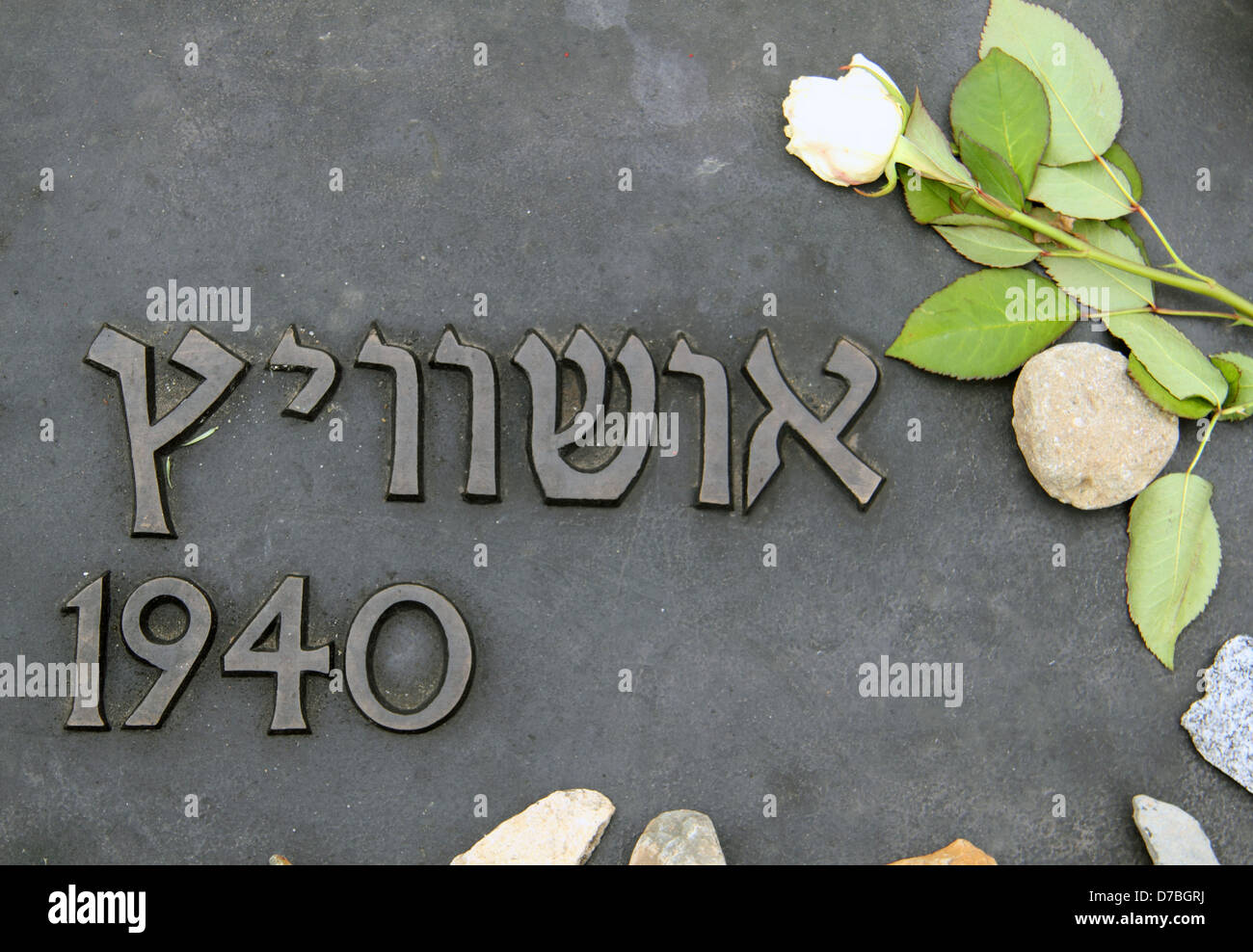 Auschwitz-Birkenau memorial board decorated with a flower at the concentration camp in Poland Stock Photo