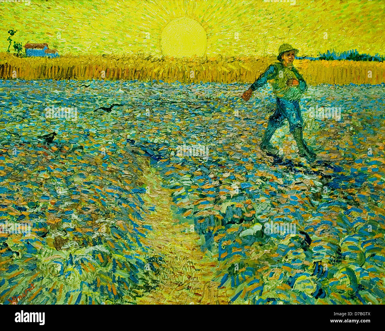 The Sower 1888 Vincent Van Gogh 1853 1890 Dutch Netherlands Stock 