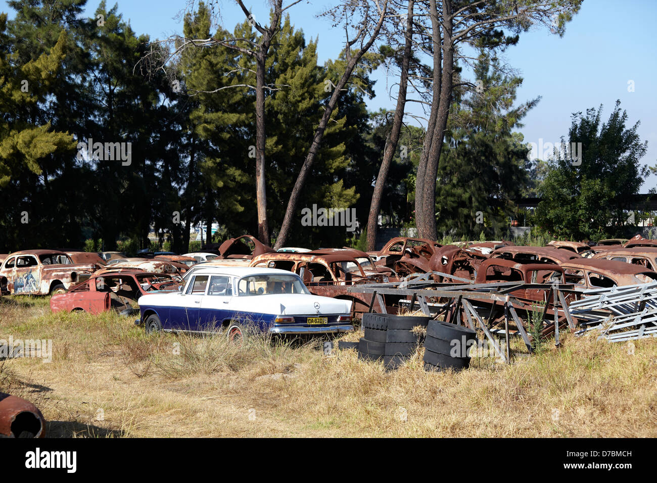 Car scrap yard Stock Photo Alamy