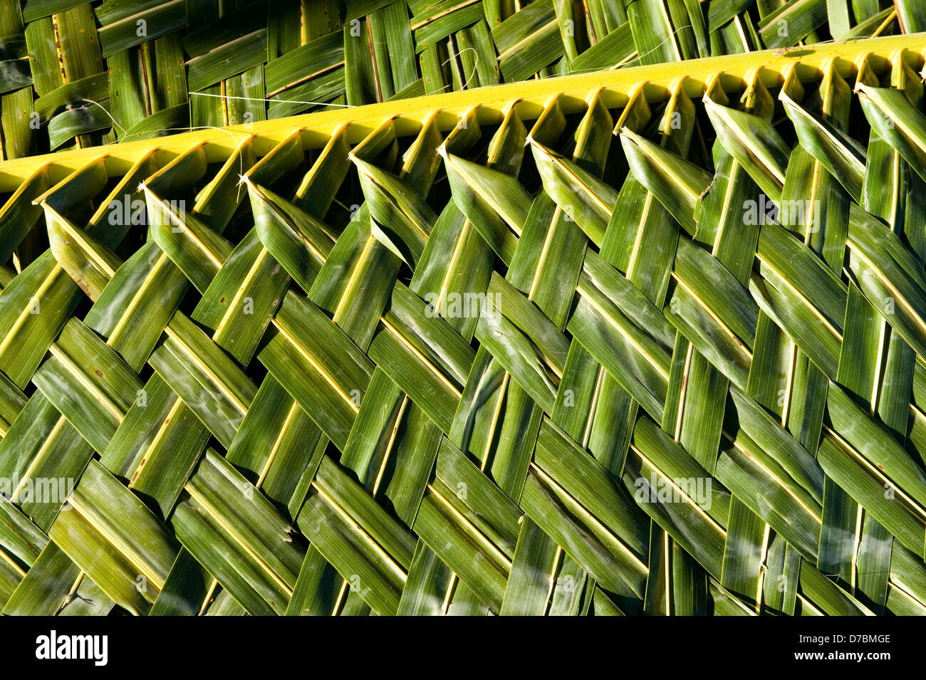 Palm Mat Stock Photos Palm Mat Stock Images Alamy