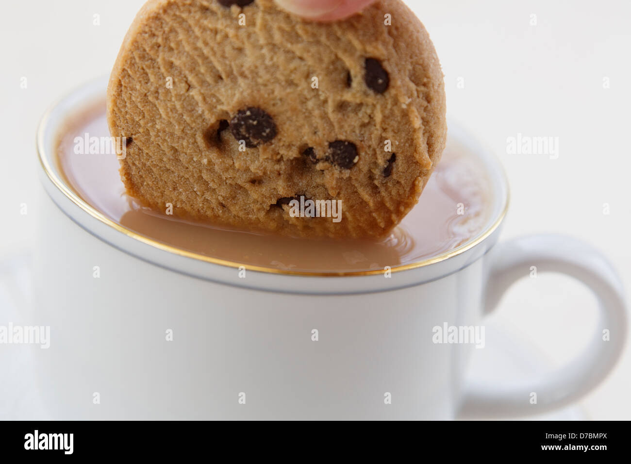 British person dunking a chocolate chip biscuit in to a cup of tea in a white china teacup for tea break. England, UK, Britain Stock Photo