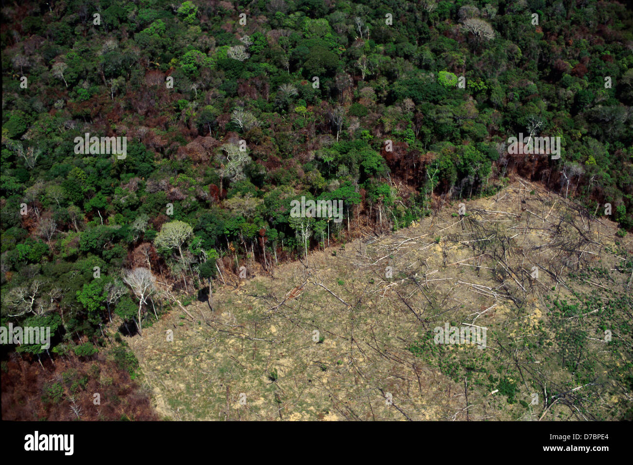 Aerial view forest clearance, deforestation. Amazon rain forest, Brazil. Stock Photo