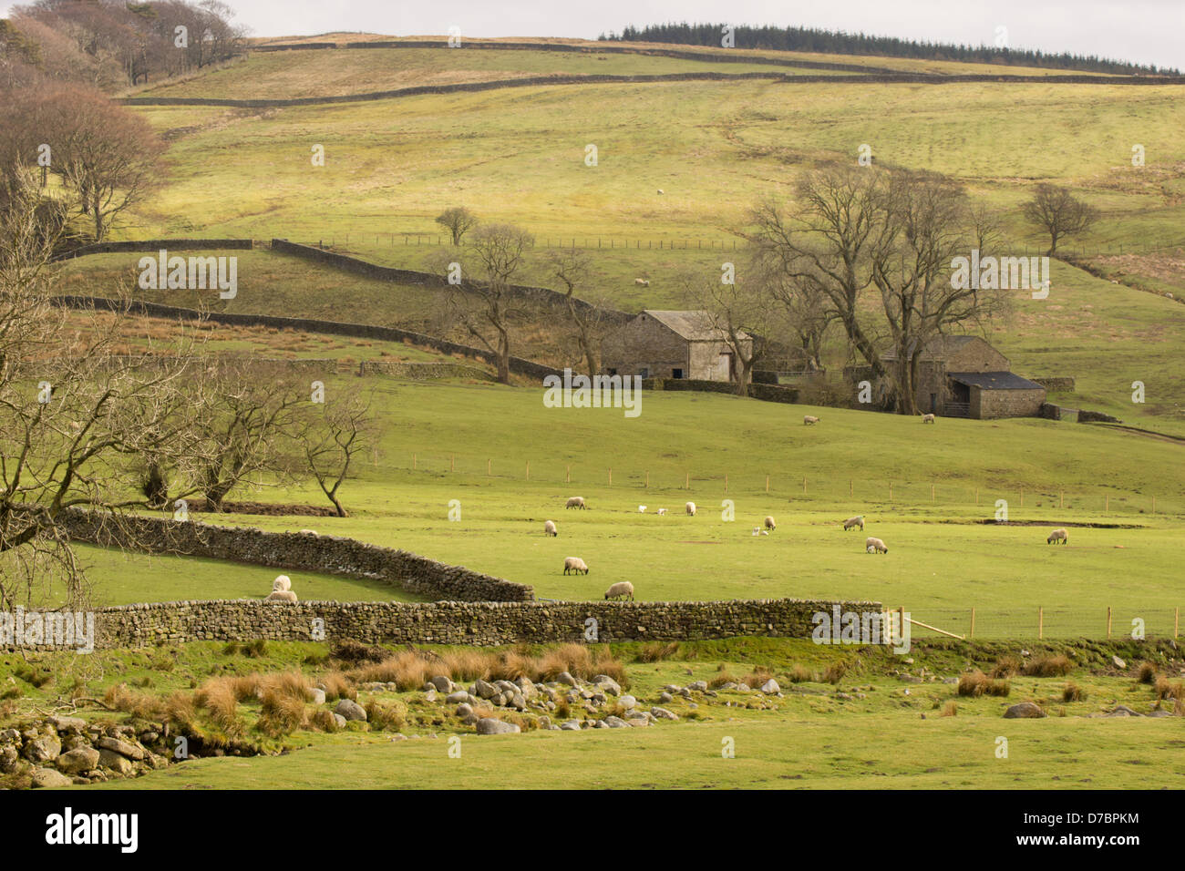 Remote farms in the forest of bowland Stock Photo Alamy