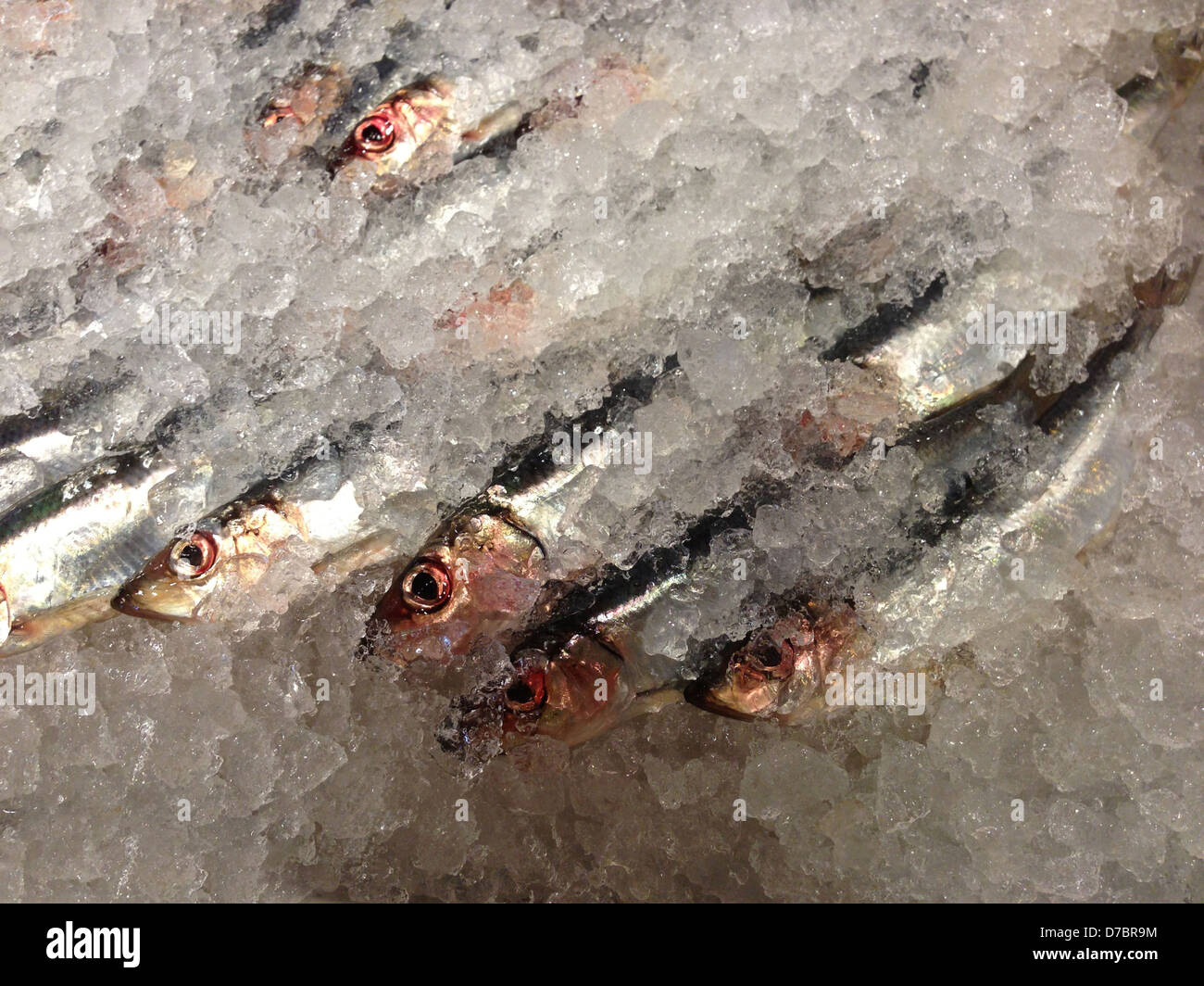 Fish on ice Stock Photo Alamy