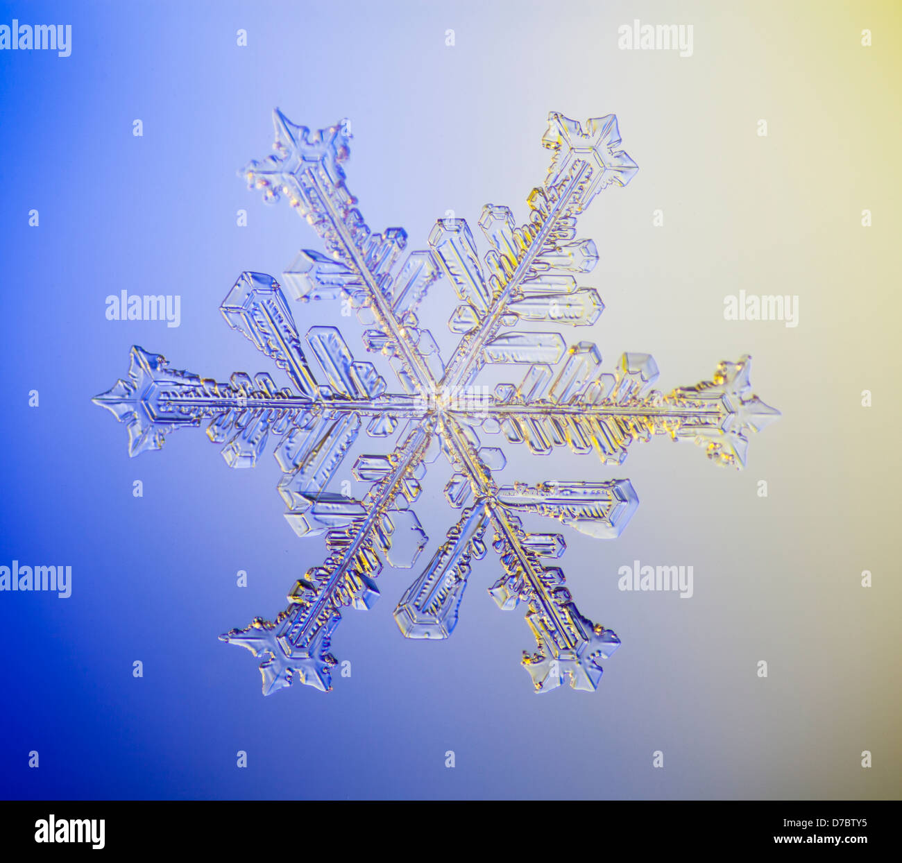 Snowflake microscope hires stock photography and images Alamy