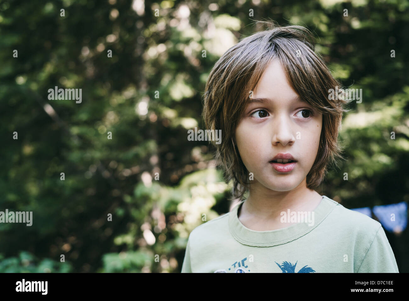 Boy In T-Shirt Against Green Canopy;Thetford Mines Quebec Canada Stock ...