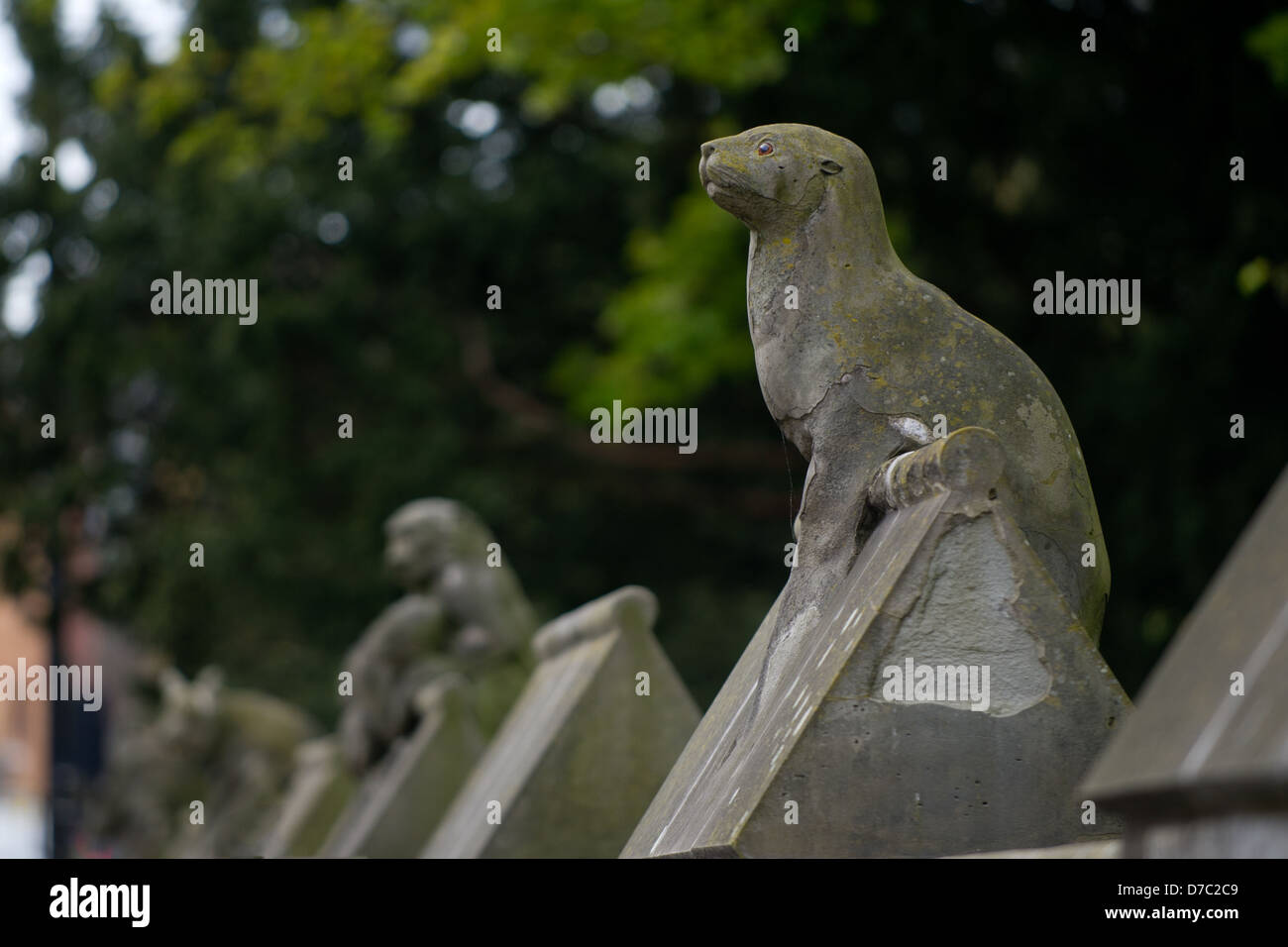 Seal wall hires stock photography and images Alamy