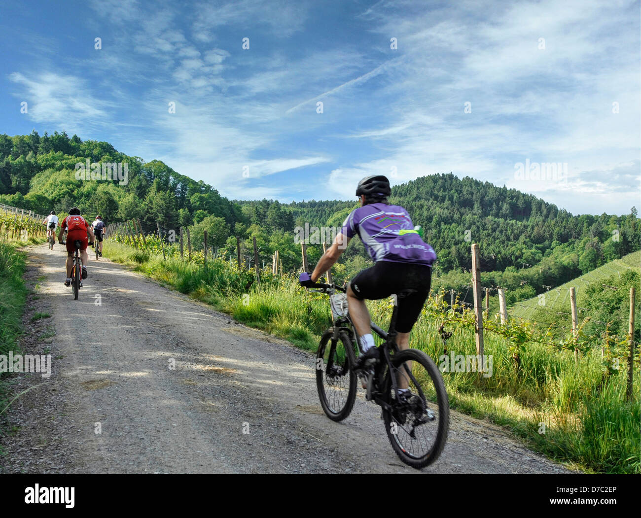 black forest mountain biking