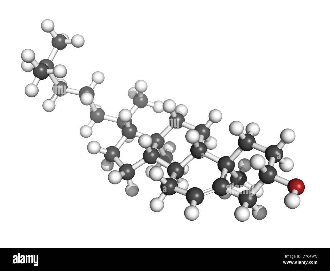 Cholesterol Molecular Model Stock Photo Alamy cholesterol-molecular-model-stock-photo-alamy