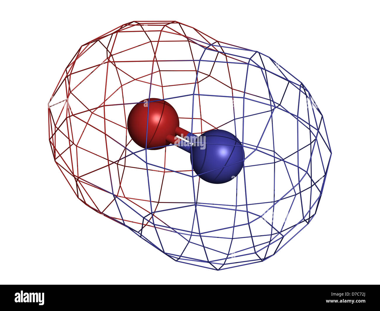 Nitric oxide (NO) free radical and signaling molecule, molecular model