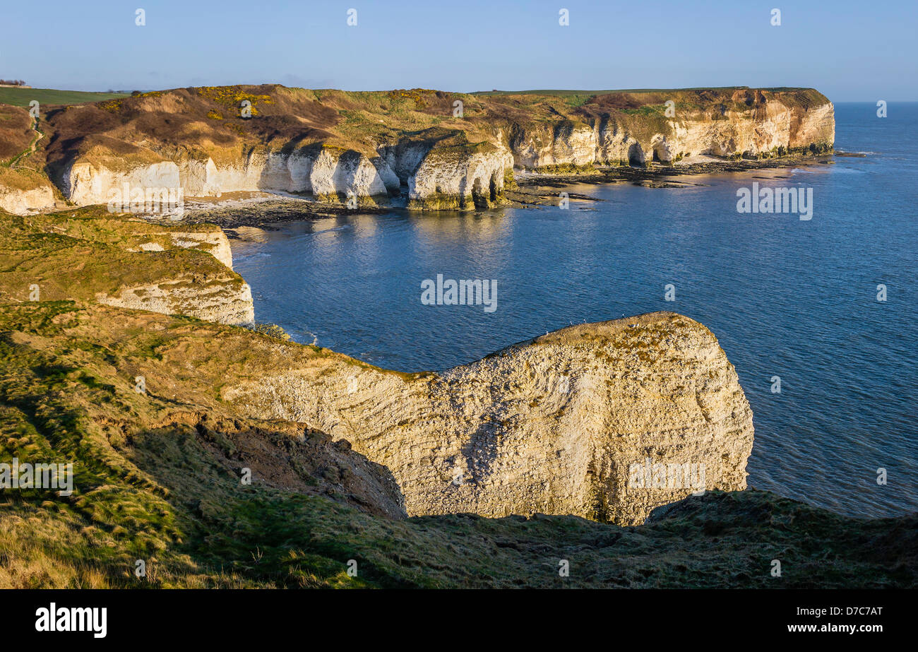 View of the high chalk cliffs and landscape at Flamborough Head, Yorkshire, UK. Stock Photo