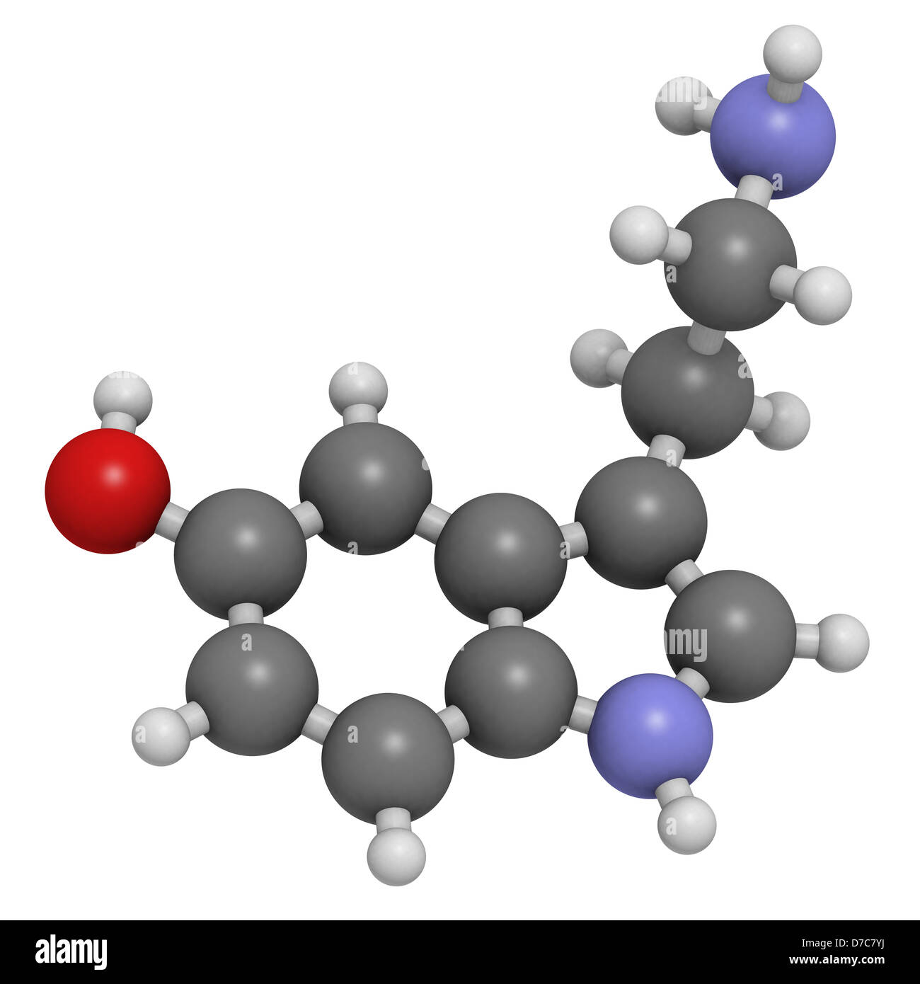 Serotonin molecule hi-res stock photography and images - Alamy Serotonin molecule hi-res stock photography and images - Alamy