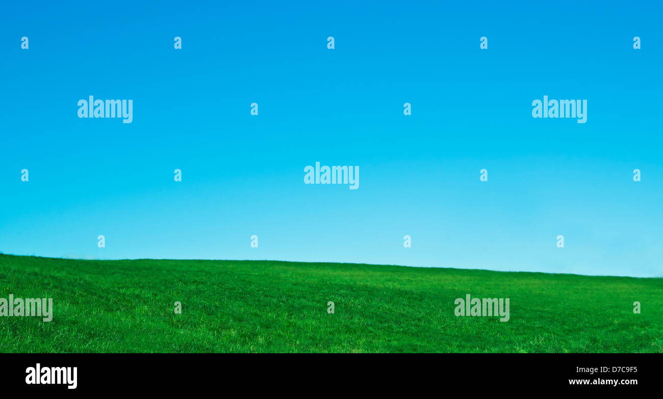 Spring landscape with green field and blue sky Stock Photo - Alamy