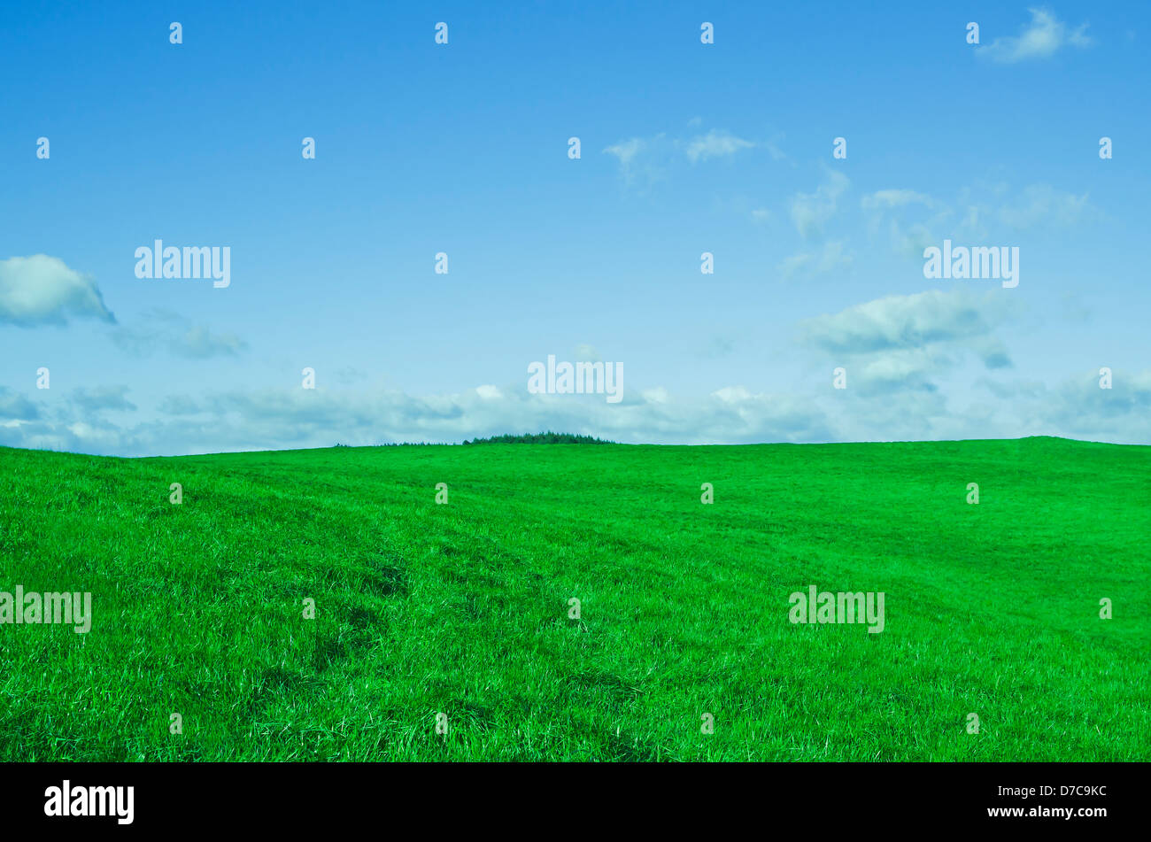 Spring landscape with green field and blue sky Stock Photo - Alamy