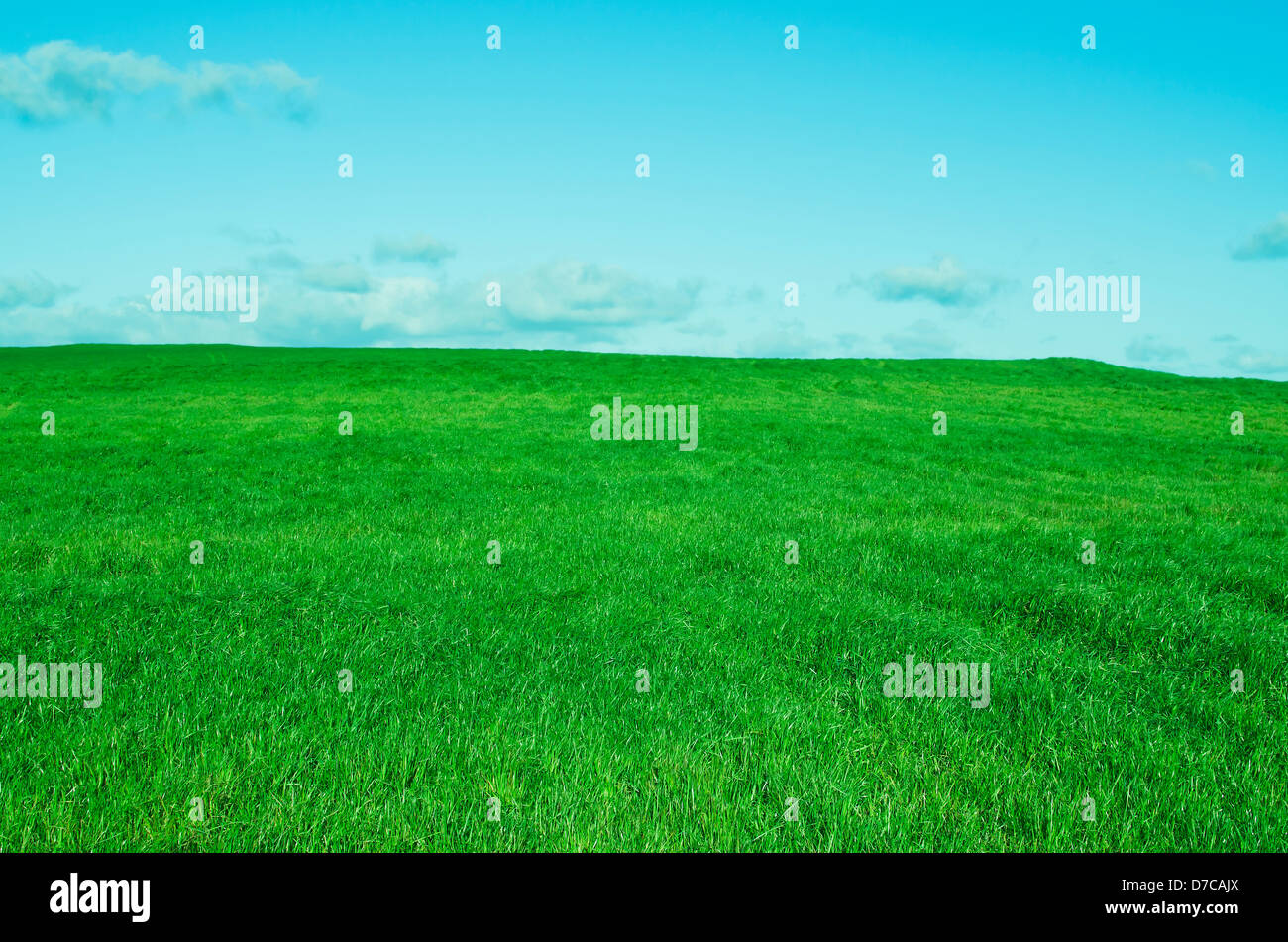 Spring landscape with green field and blue sky Stock Photo - Alamy