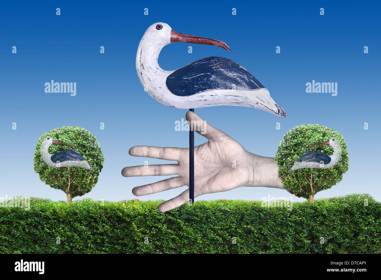 A Bird in the Hand is Worth Two in the Bush Stock Photo Alamy