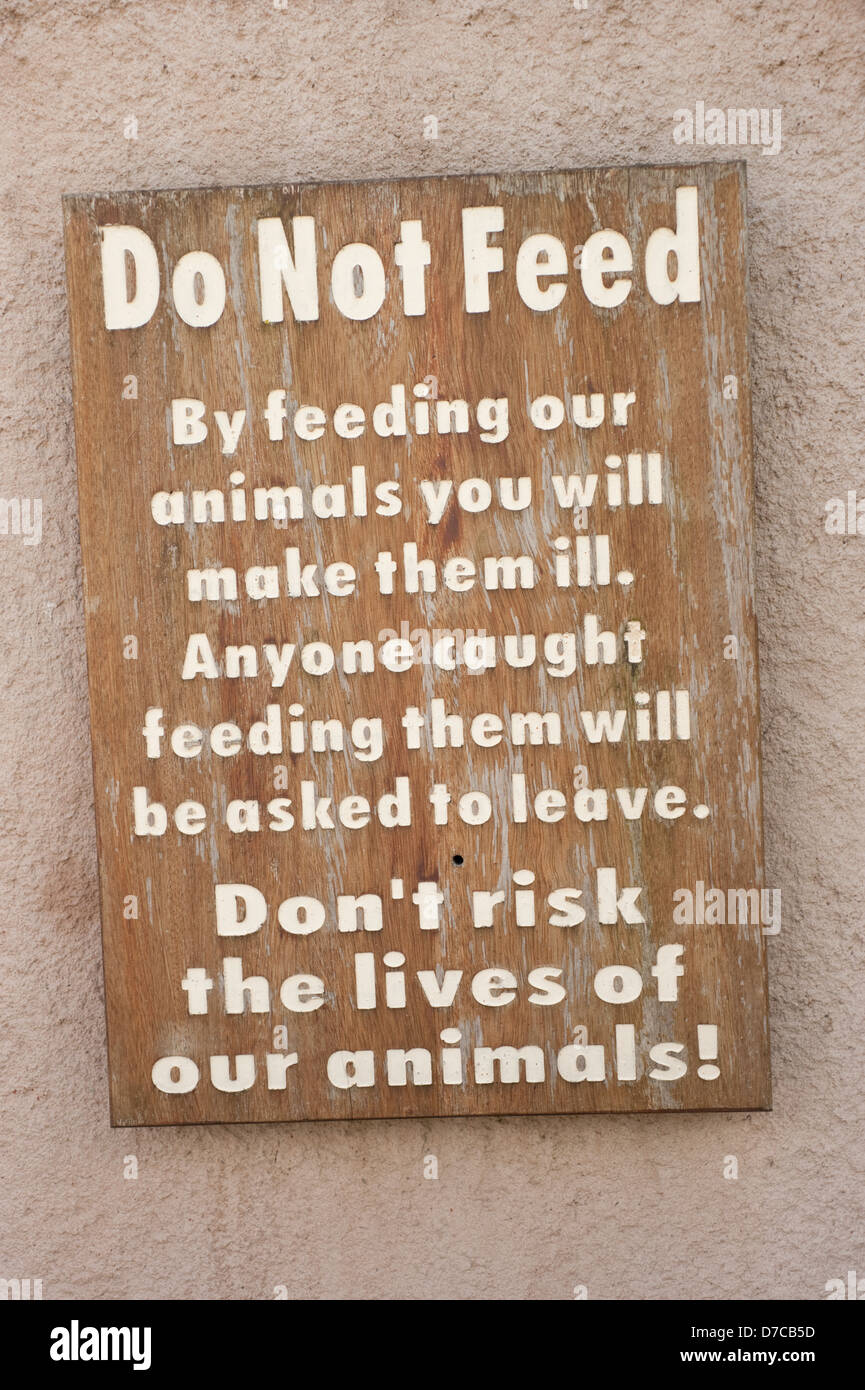 Do Not Feed The Animals Sign Zoo makes them ill Stock Photo Alamy
