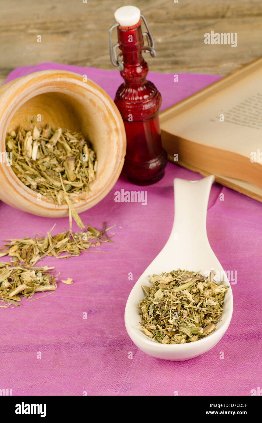Echinacea with a book in the background, herbal medicine concept Stock