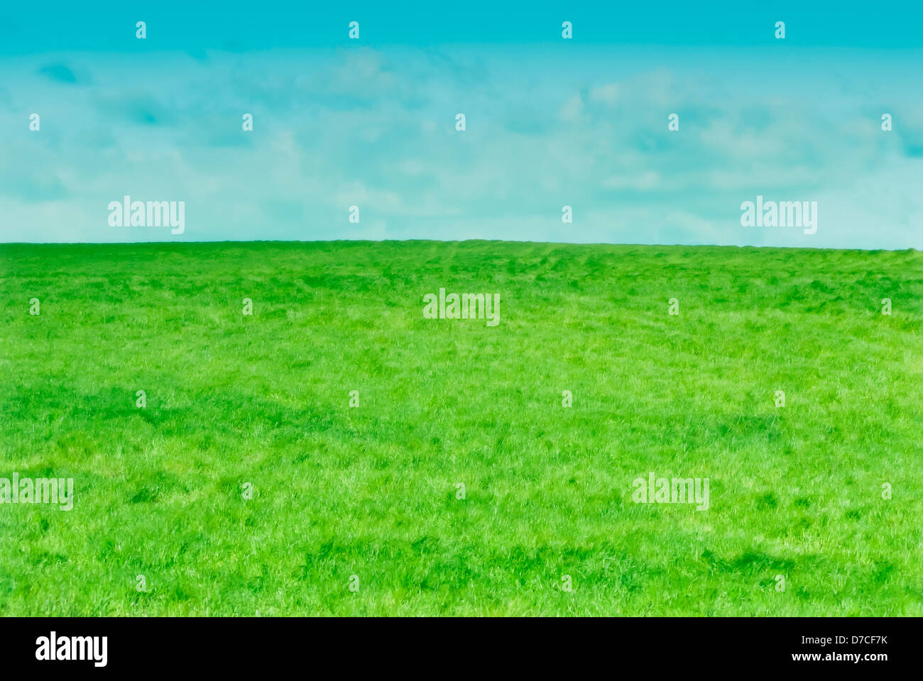 Spring landscape with green field and blue sky Stock Photo - Alamy
