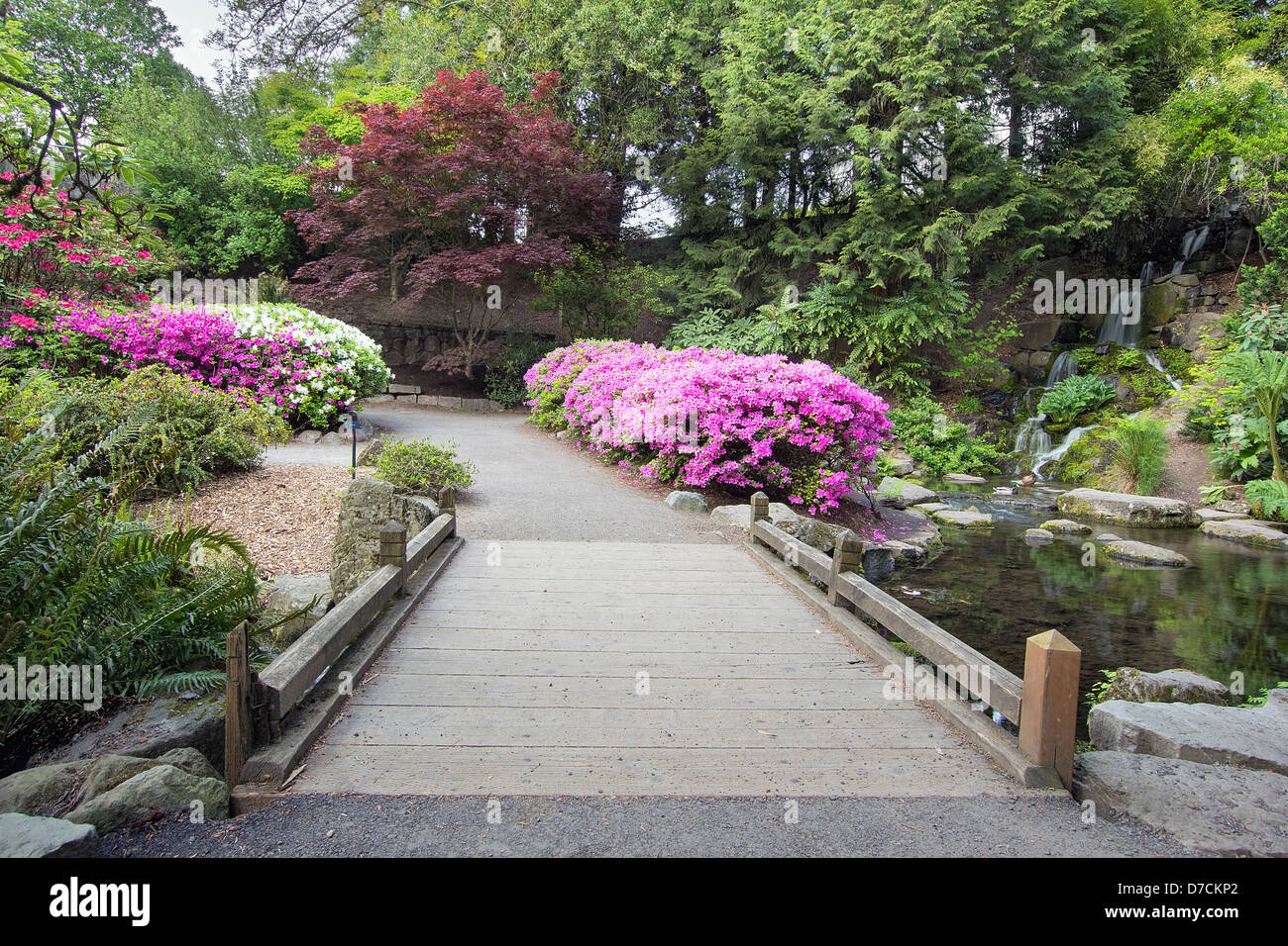 Foot Bridge across Waterfall Pond at Crystal Springs Rhododendron ...