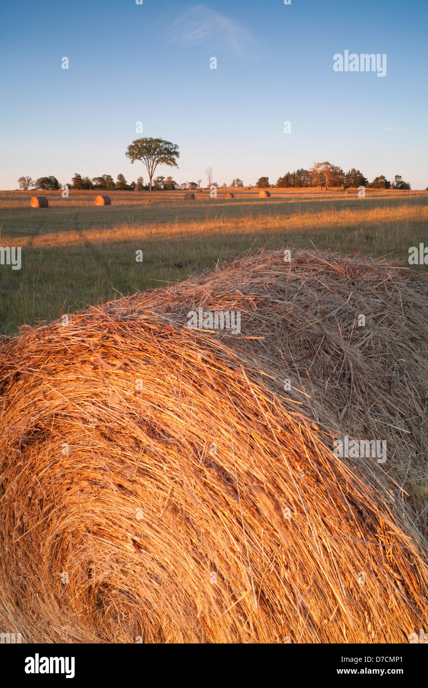 Bales in field at sunset hires stock photography and images Alamy