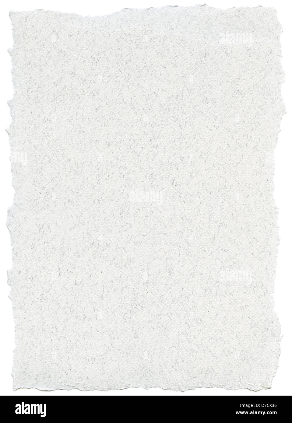 Texture of white fiber paper with torn edges. Scanned at 1200dpi using a professional Epson V700 scanner. Stock Photo