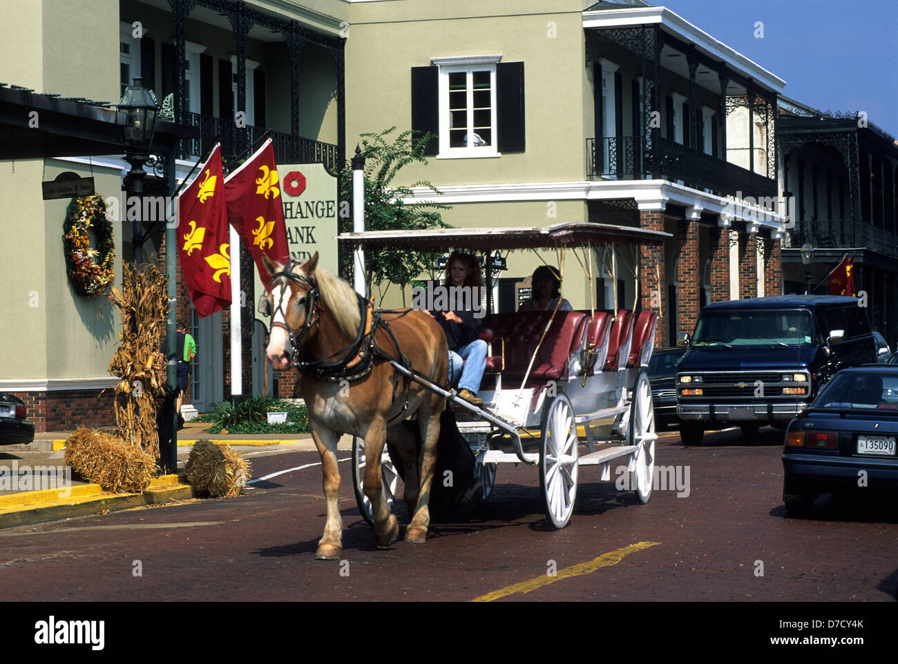 Elk283 2620 hires stock photography and images Alamy
