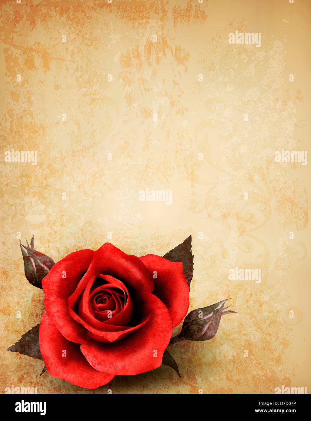Big red rose on old paper background. Vector Stock Photo - Alamy
