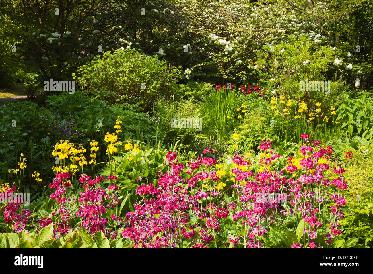 Mount usher gardens;Ashford county wicklow ireland Stock Photo Alamy