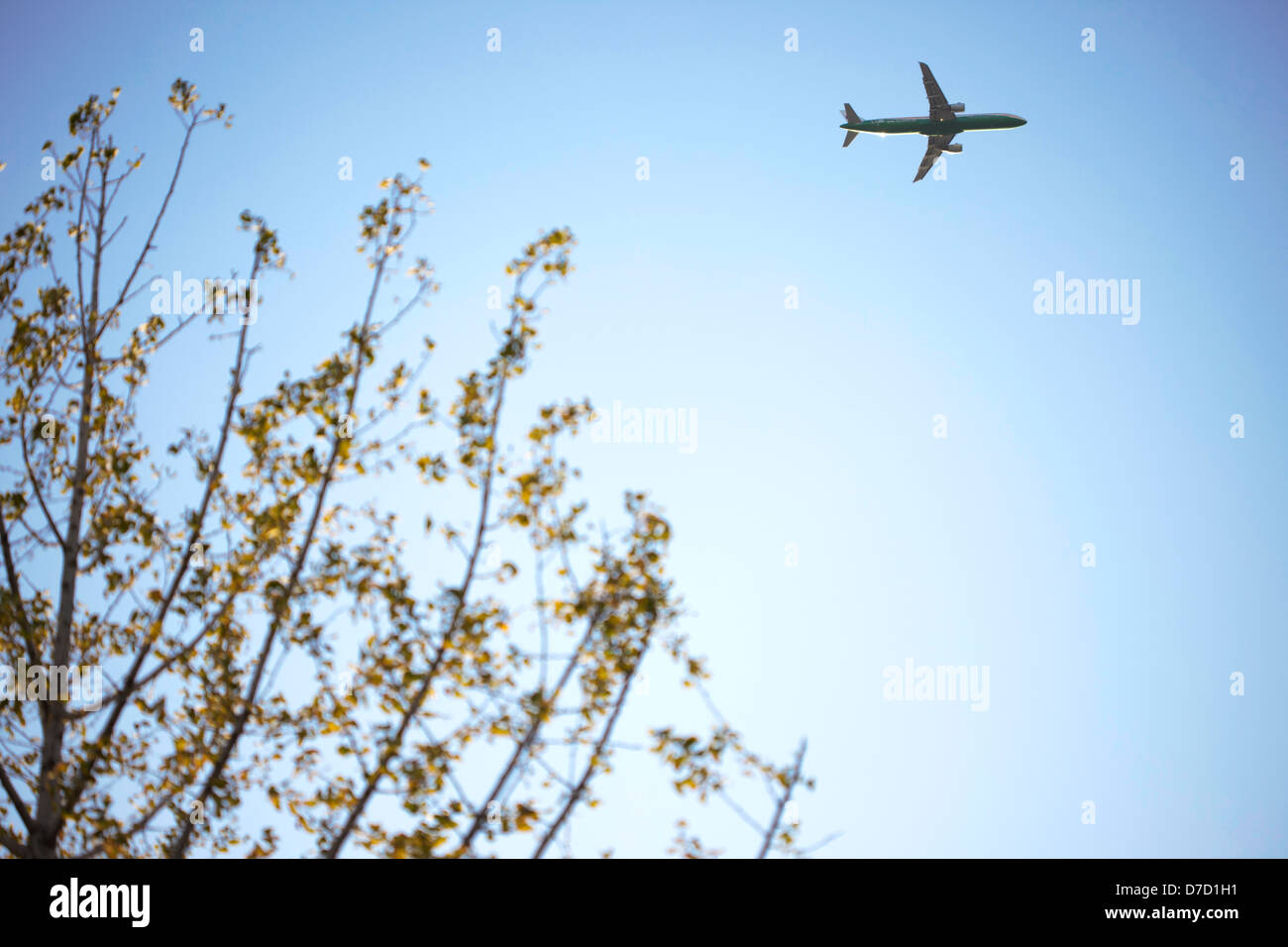Airplane and leaf hi-res stock photography and images - Alamy
