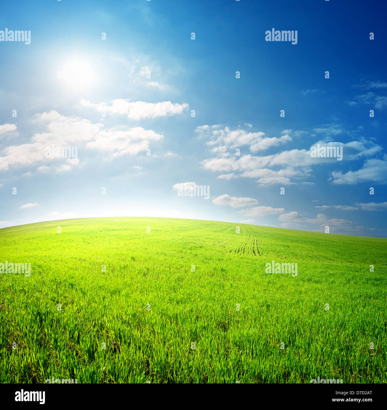 Green field and blue sky lit by the sun Stock Photo - Alamy
