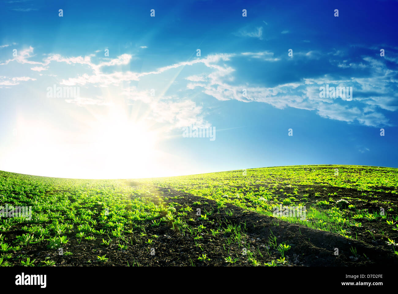 Bright sun hi-res stock photography and images - Alamy