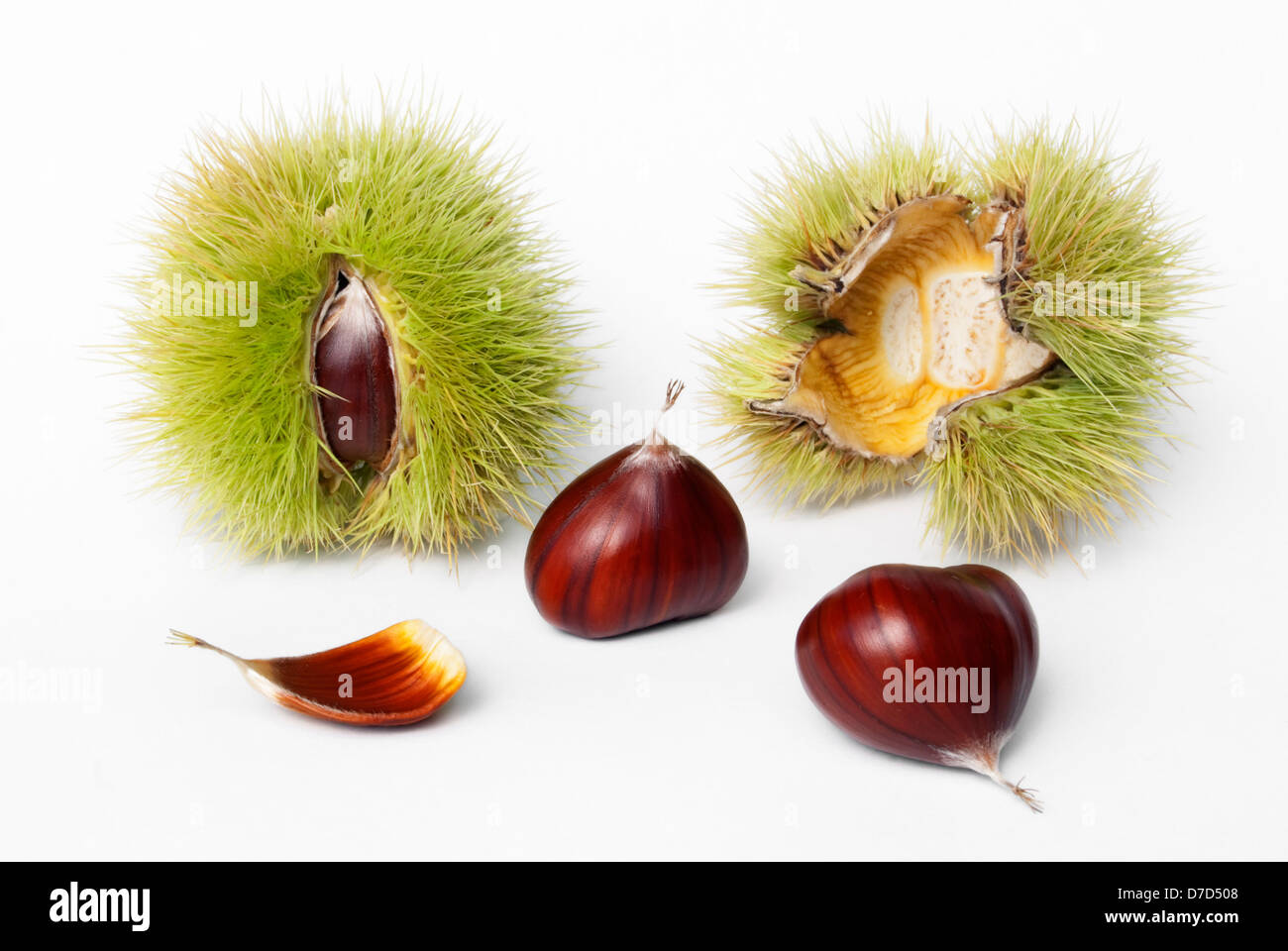 chestnuts fresh fruits and seeds on white background Stock Photo