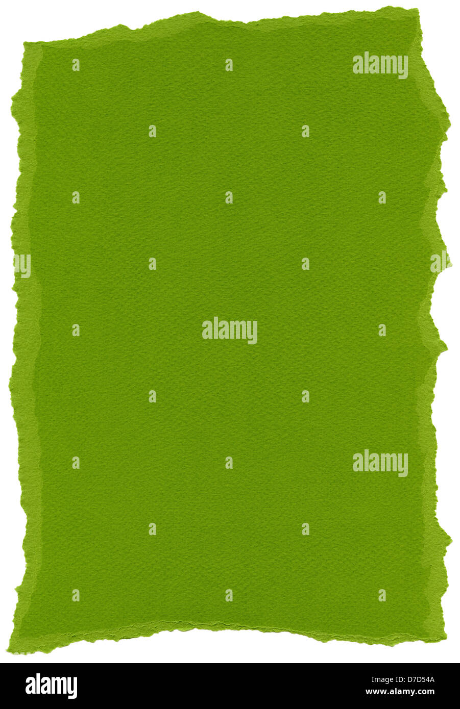 Texture olive drab green fiber paper torn edges. Isolated on white