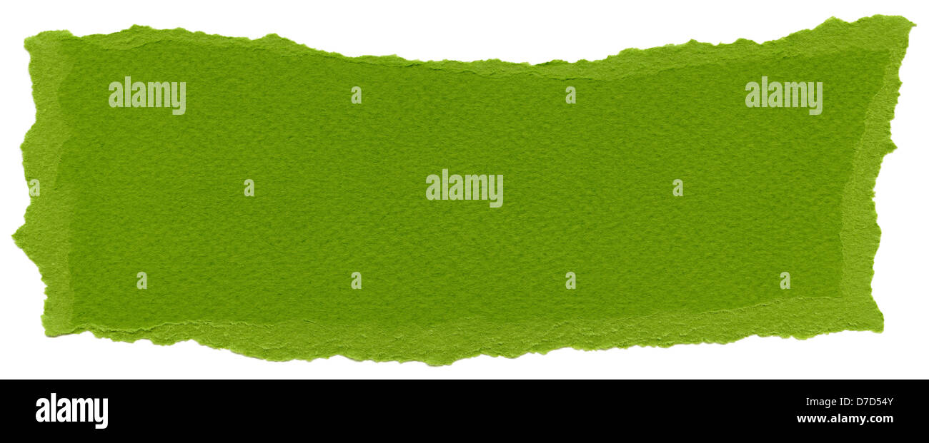 Texture olive drab green fiber paper torn edges. Isolated on white