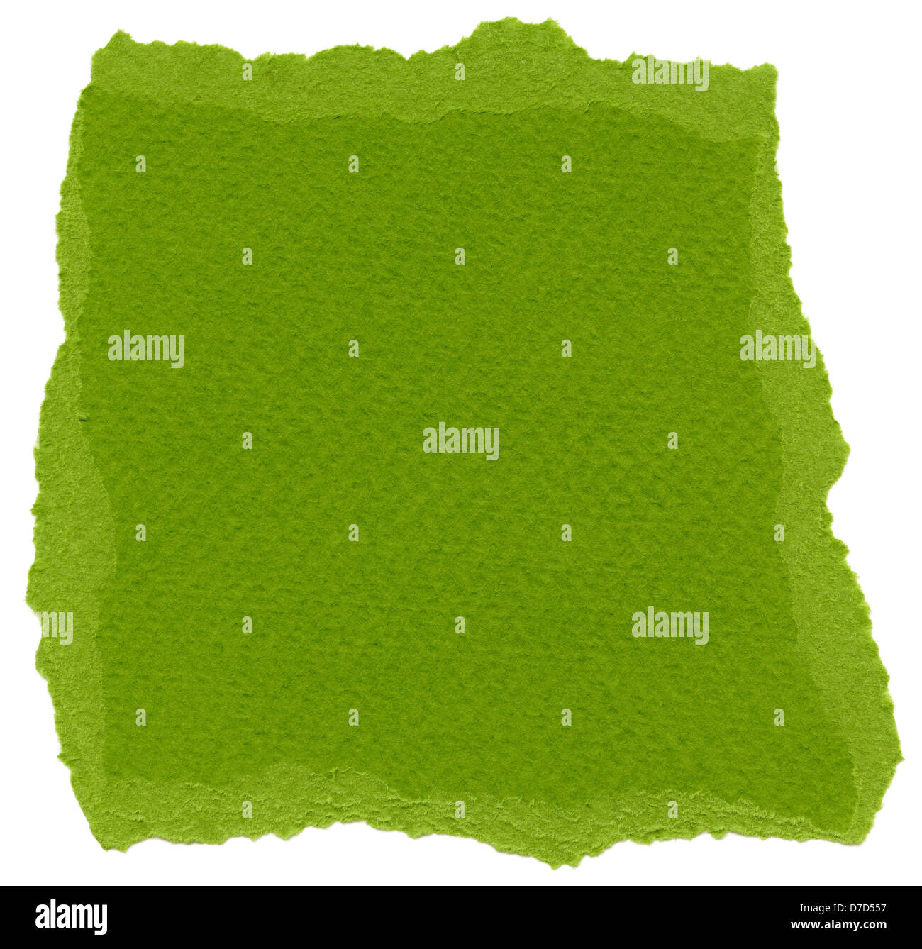 Texture olive drab green fiber paper torn edges. Isolated on white