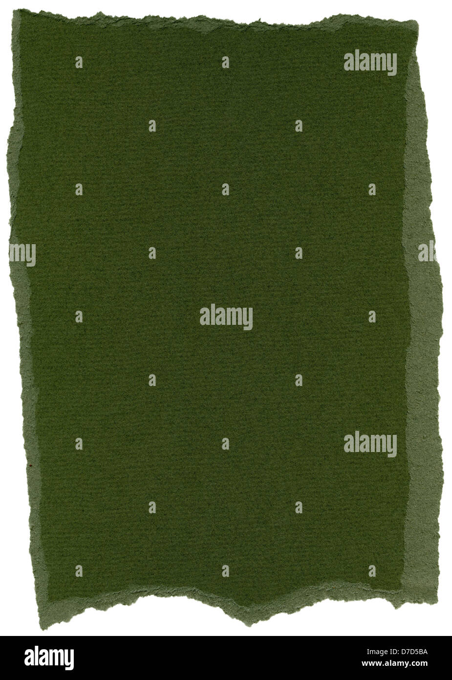Texture dark olive green fiber paper torn edges. Isolated on white