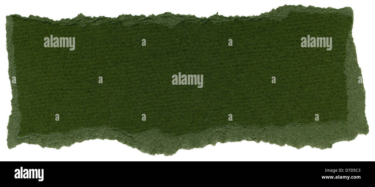 Texture dark olive green fiber paper torn edges. Isolated on white