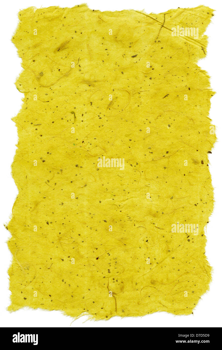 Texture yellow rice paper torn edges. Isolated on white background ...