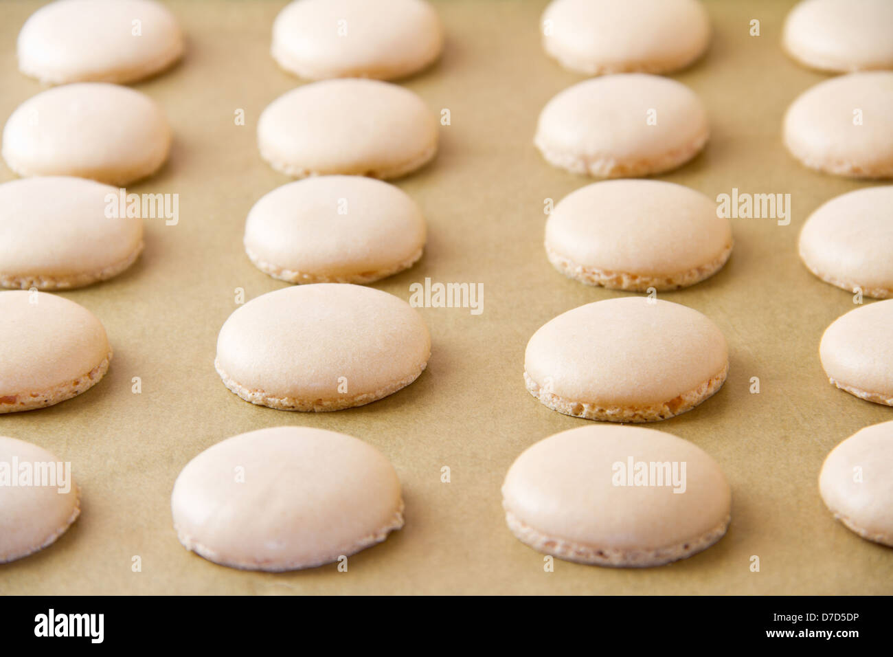 Macaron shells on baking sheet Stock Photo - Alamy