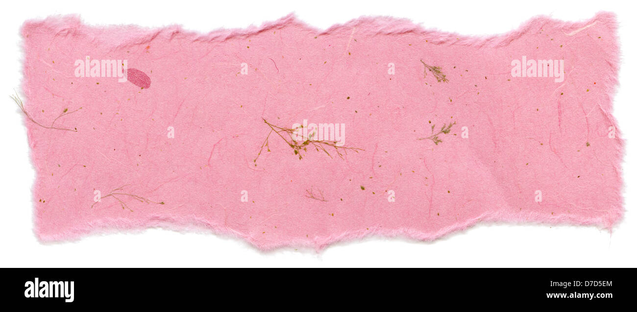 Texture pink rice paper decorative pattern made plants parts torn edges ...