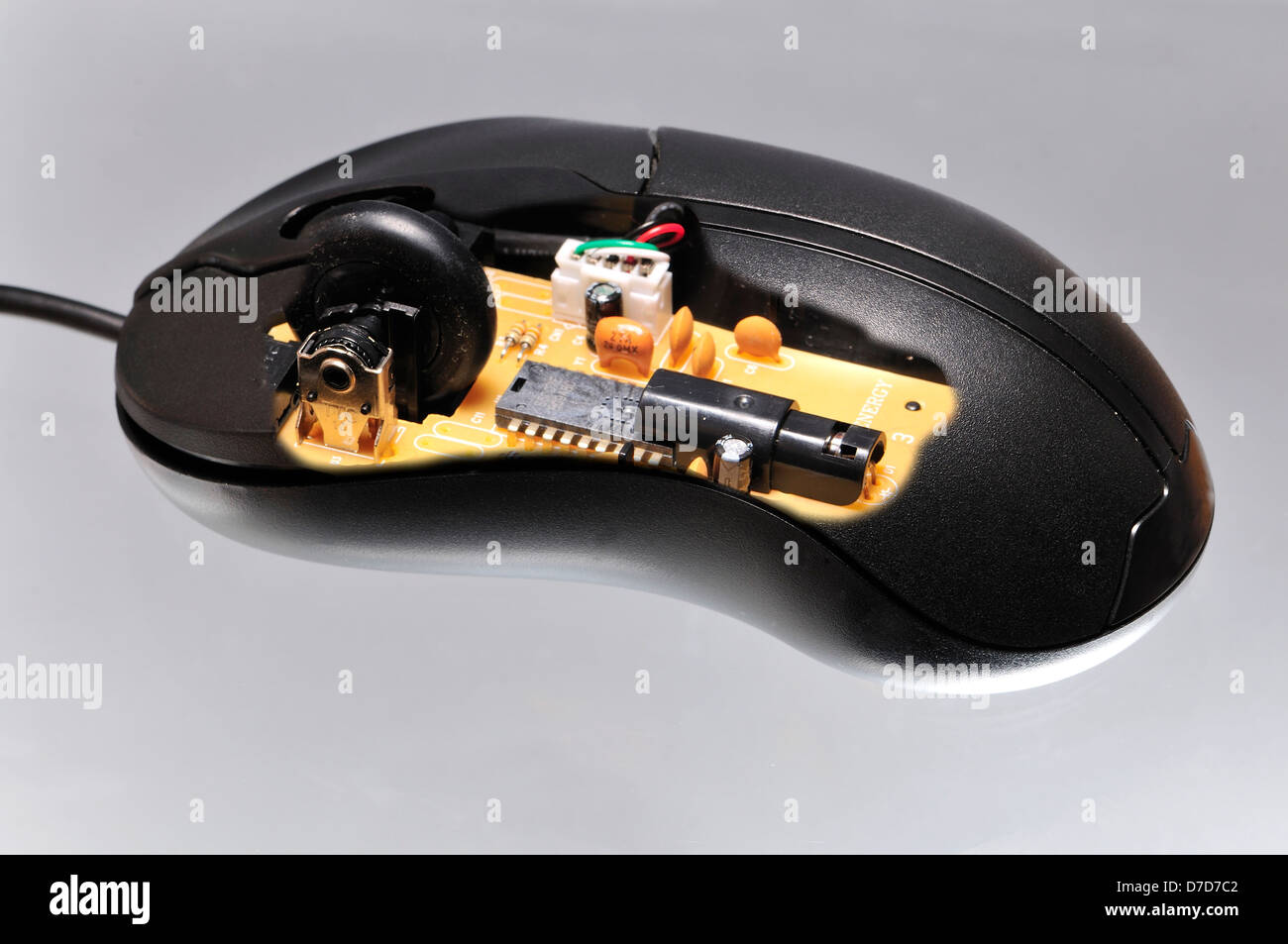 Computer mouse - inside Stock Photo