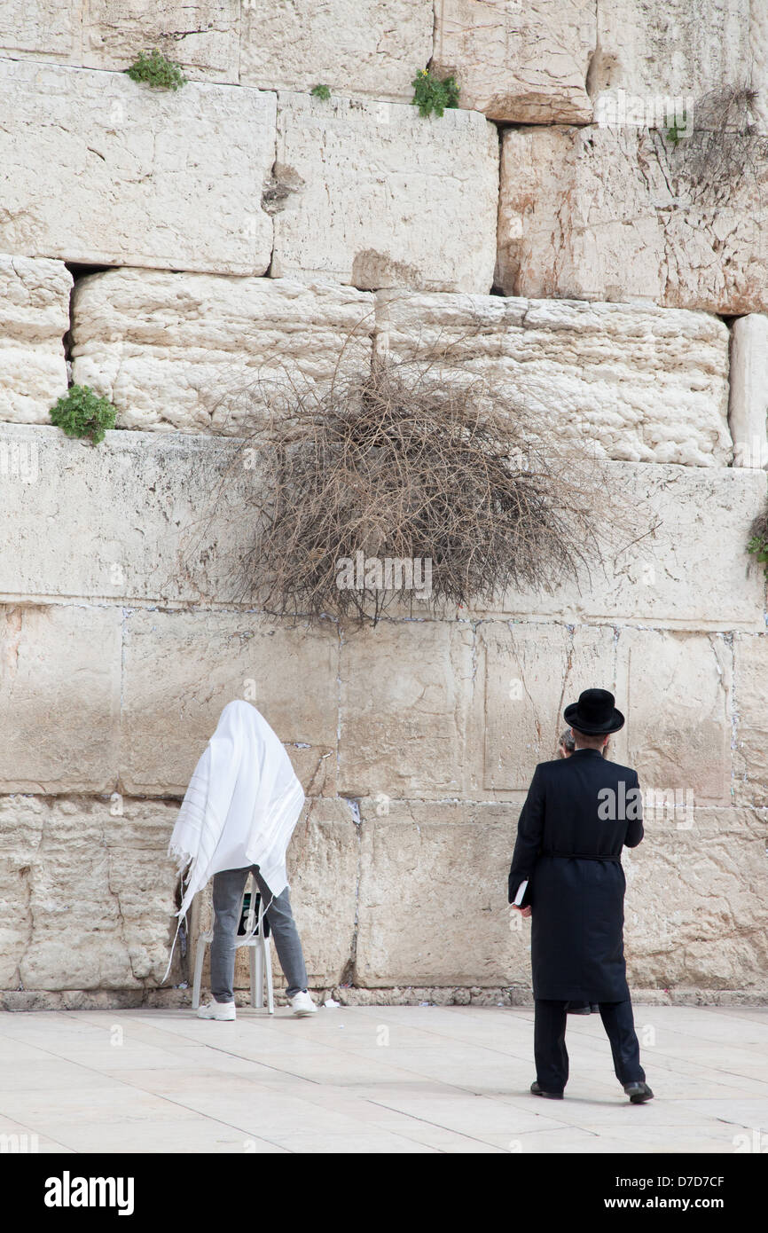 Jerusalem, Israel CIRCA February 17, 2013. Jews praying at the wailing wall, at the temple sit in Jerusalem, Israel Stock Photo