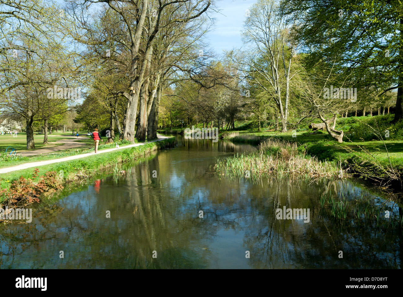 Feeder Canal, Bute Park, Cardiff, South Wales. Stock Photo