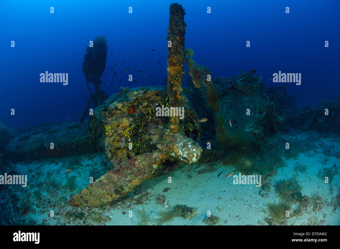 B-24 Liberator Bomber Wreck, Vis, Adriatic Sea, Croatia Stock Photo