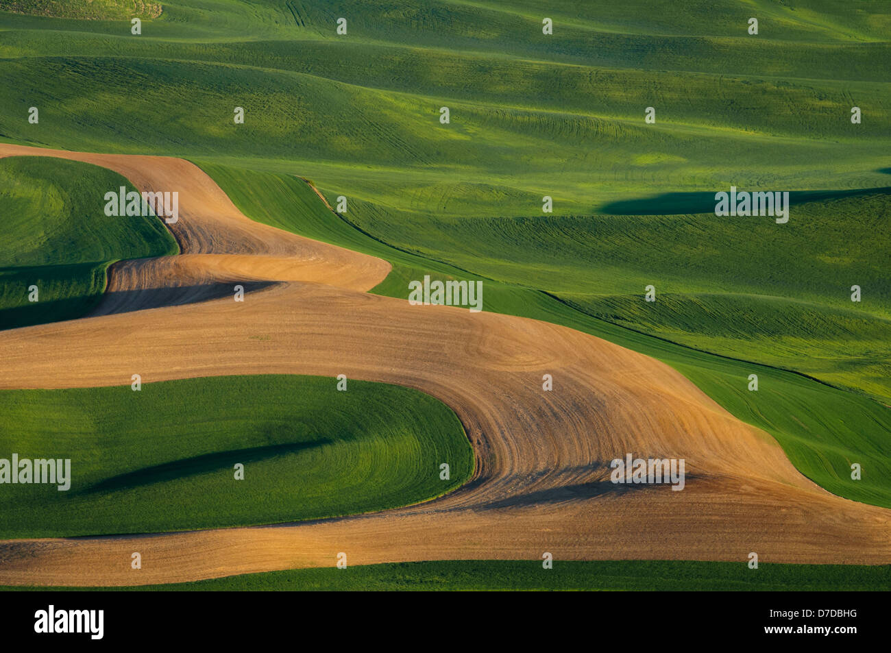 Palouse wheat fields from Steptoe Butte, Washington. Stock Photo