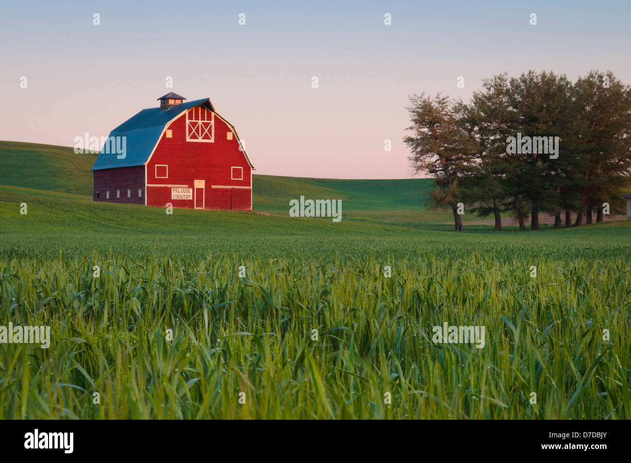 Red barn with 'Palouse Country' sign in wheat field, Uniontown, eastern Washington. Stock Photo