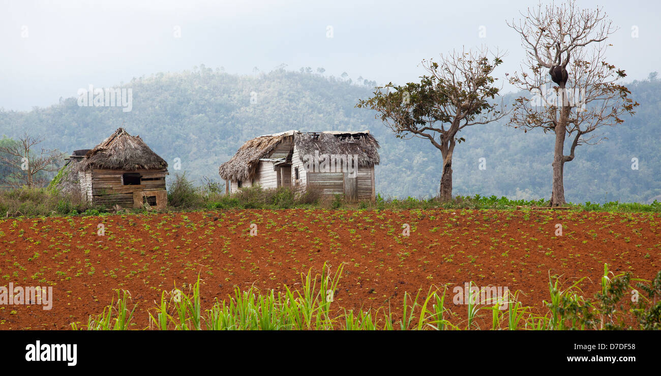Houses in Vinales Valley Stock Photo